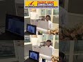Cruise Line Job Interviews | First Round Completed | Talent Hunt Consultancy 2025