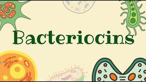 Bacteriocins