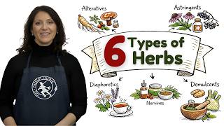 The 6 Types of Medicinal Herbs Everyone Should Know (And How to Use Them)