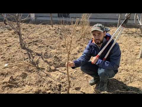 Как формировать гранат