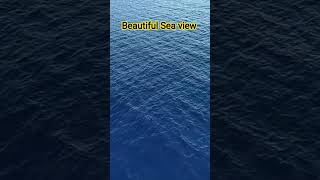 Sea #youtubeshorts #trending #short #shorts #shortvideo #viral #viralvideo #funny #song #ytshorts