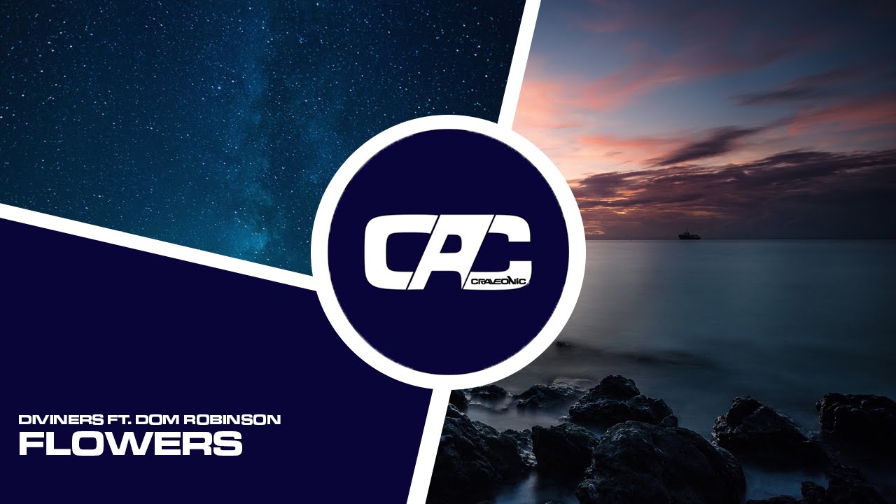 Diviners ft. Dom Robinson - Flowers