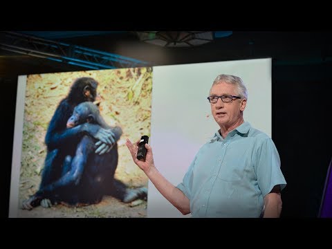 Video: How Are Humans Really Different From Monkeys? - Alternative View