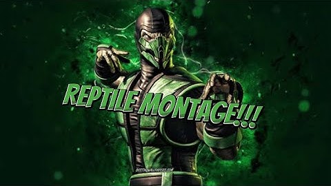 This Reptile Montage is Cracked ngl…