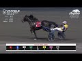 Mohawk, Sbred, August 9, 2026 Race 6 | Woodbine Horse Race Replay