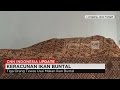 Tiga Orang Tewas Usai Makan Ikan Buntal, 8 Kritis