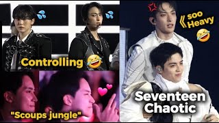 Seventeen Funny Moments In Incheon Concert And Also Jeonghan Jungle Reaction 2025