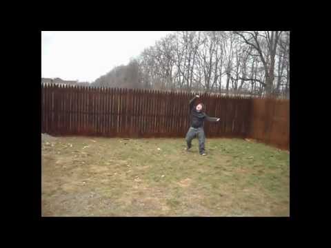 Dog Holiday Harlem Shake