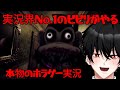 実況界で一番のビビリがやるホラゲー実況【絶叫注意】【VTuber】【Dark Deception】