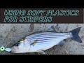 Using Soft Plastics for Stripers