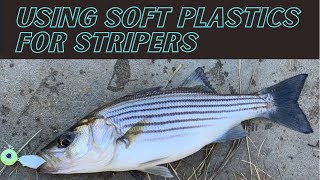 Using Soft Plastics for Stripers