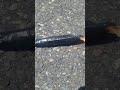 Haha Sparkler Bomb Go Boon Haha Sparkler Bomb Go Boon