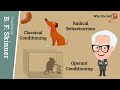 Operant Conditioning vs. Classical Conditioning in B.F. Skinner's Radical Behaviourism