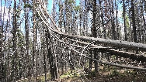 GIANT Energy Structure - Filled in Foot Prints  - Full Video 4k