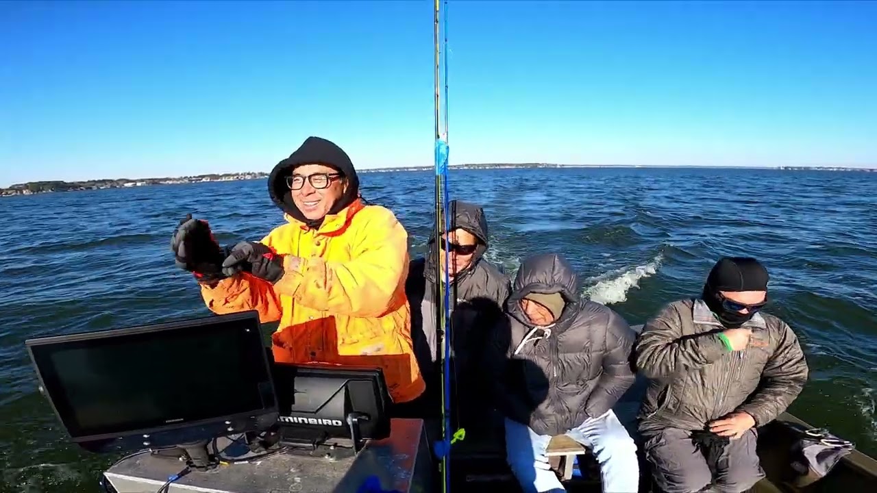 Câu cá Hybrid Bass ở lake CONROE TEXAS