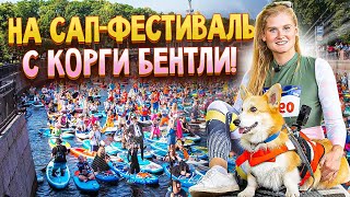 Фонтанка SUP 2022 с Анжеликой и корги Бентли!