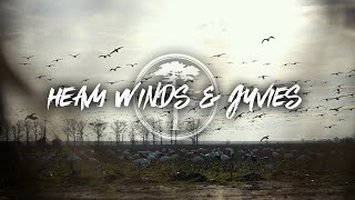 Snow Goose Hunting- Heavy Winds and Juvies