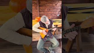 Ведьмак играет на балалайке #thewitcher #shorts