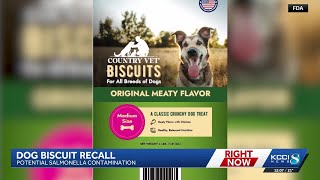 Dog treats sold in Iowa recalled due to possible salmonella contamination
