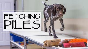 Trained Retrieve Step 16 - Fetching Piles