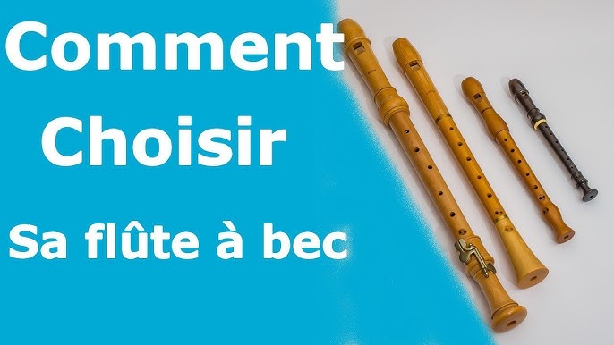 Flûte À Bec Soprano À Clé C Parfaite Pour Les Débutants - Temu France