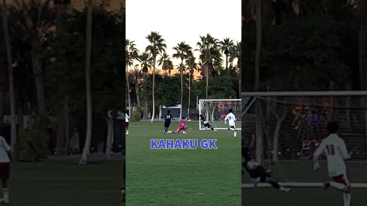 Defender came up big 