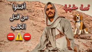 علي بابا | أقتلوا من قتل الكلب 🐕 القصة التي هزت أركان العرب 🔥🛖🔥