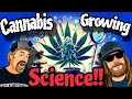 Master class with americas top cannabis growing expert