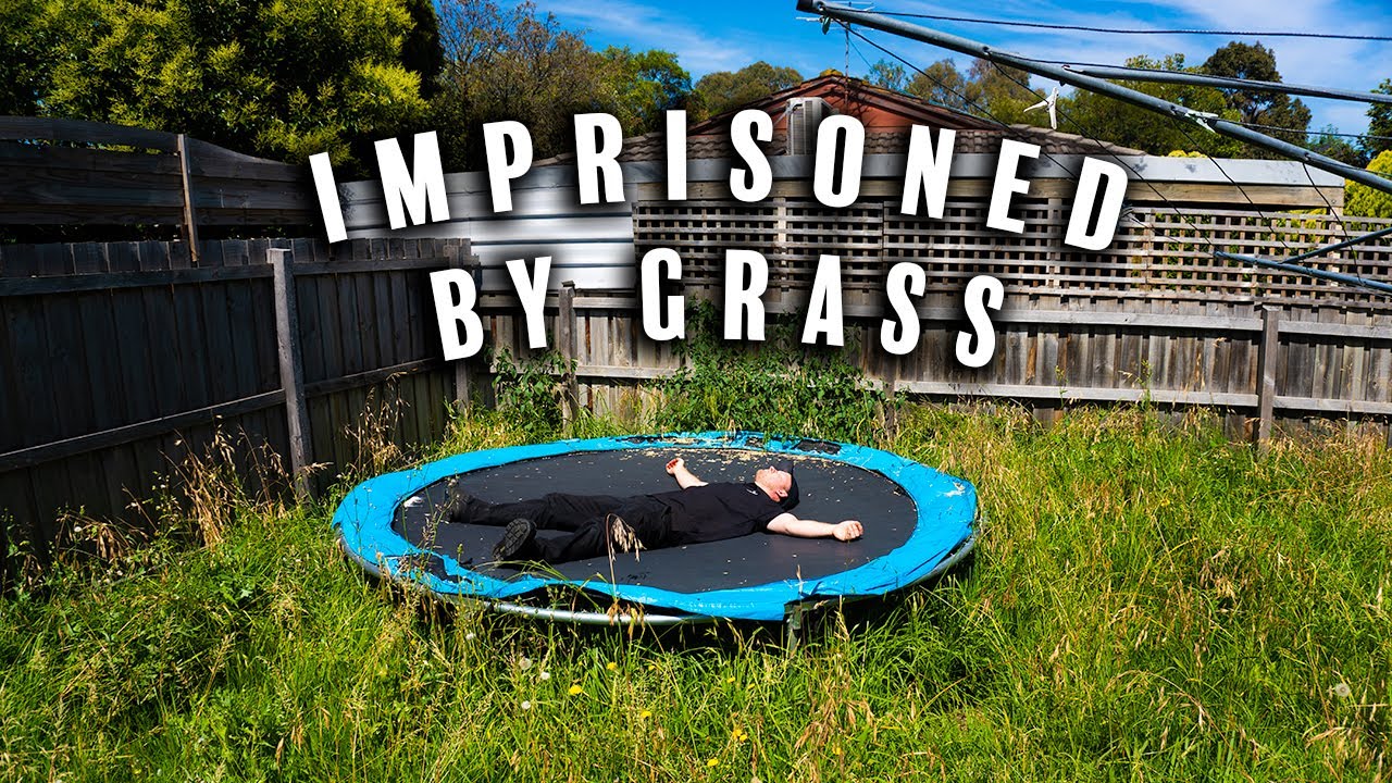 This Overgrown Yard Was Hiding Something…