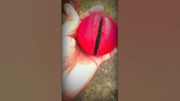 Experiment with synthetic ball #cricket #viratkohli #elvishyadav #virat #trending #shots