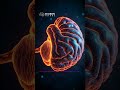 The Cosmic Brain Analogy | #BrainFacts #Neuroscience #Brainpower