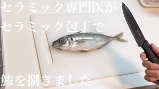 セラミック矯正の専門医がセラミック包丁で鯵(あじ)を捌きました！