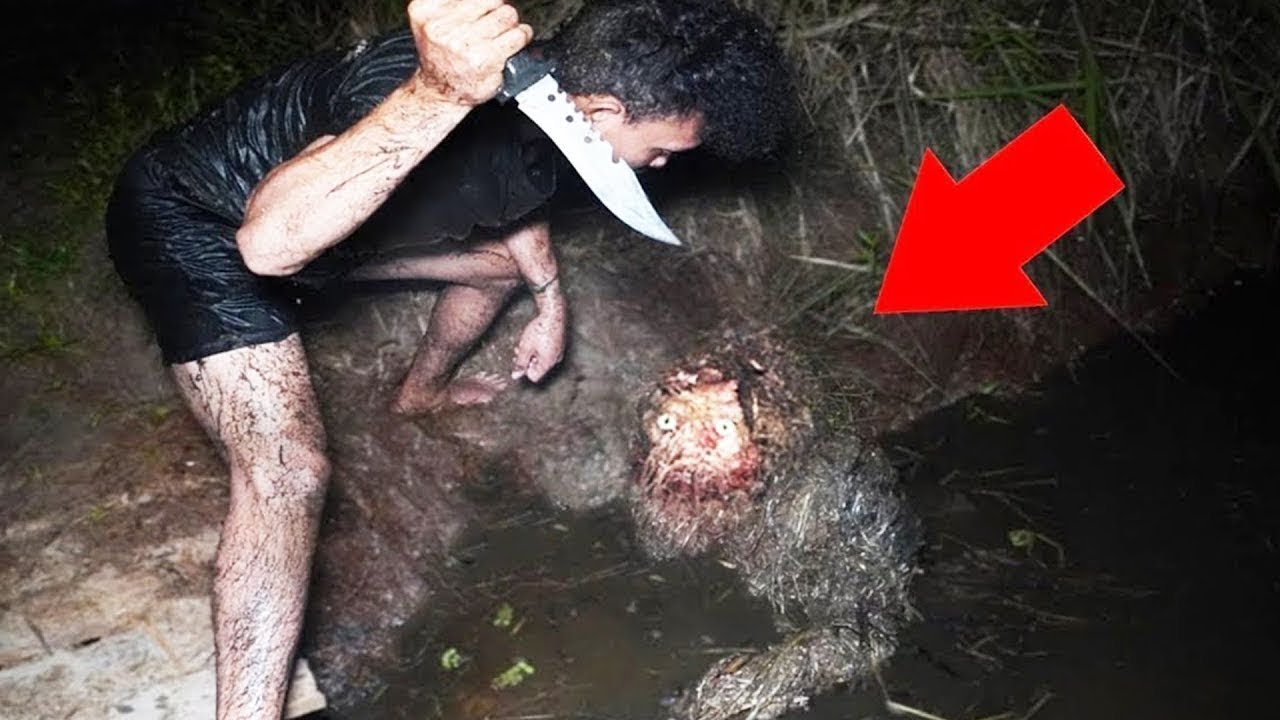 A CÂMERA DESTE HOMEM CAPTUROU UMA CRIATURA RASTEJANDO PARA FORA DO PÂNTANO