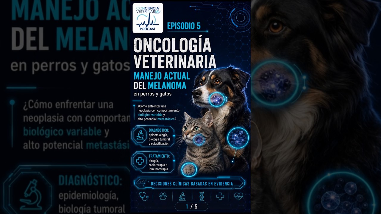 Episodio 5, Oncologia Veterinaria #veterinaria #medicinaveterinaria #gatos #perros