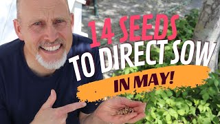 14 Seeds you can Still Direct Sow in May