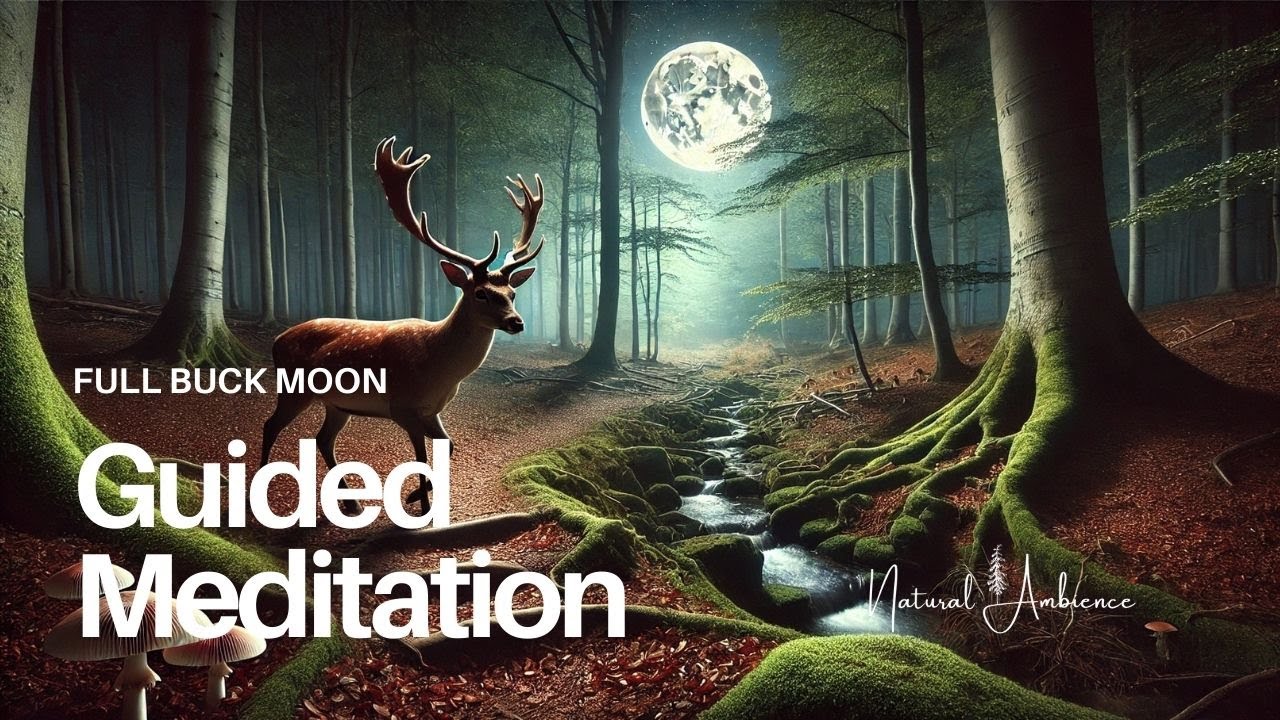 Empower Your Growth – Full Buck Moon Guided Meditation in Capricorn ...