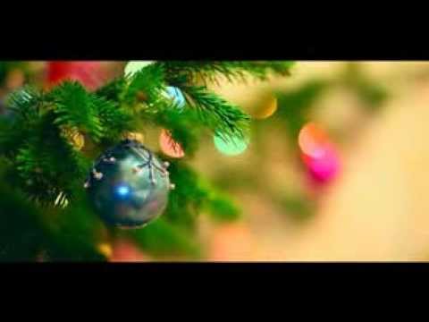 MOE: ერთად გადავარჩინოთ საქართველოს ტყეები