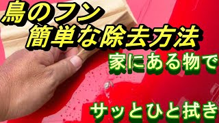 ガンコにこびりついた鳥のフン簡単な除去方法を教えます