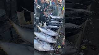 Tuna Fish Market #fishcuttingknife #tuna #fishcooking #fishcuttingskills #shorts #food