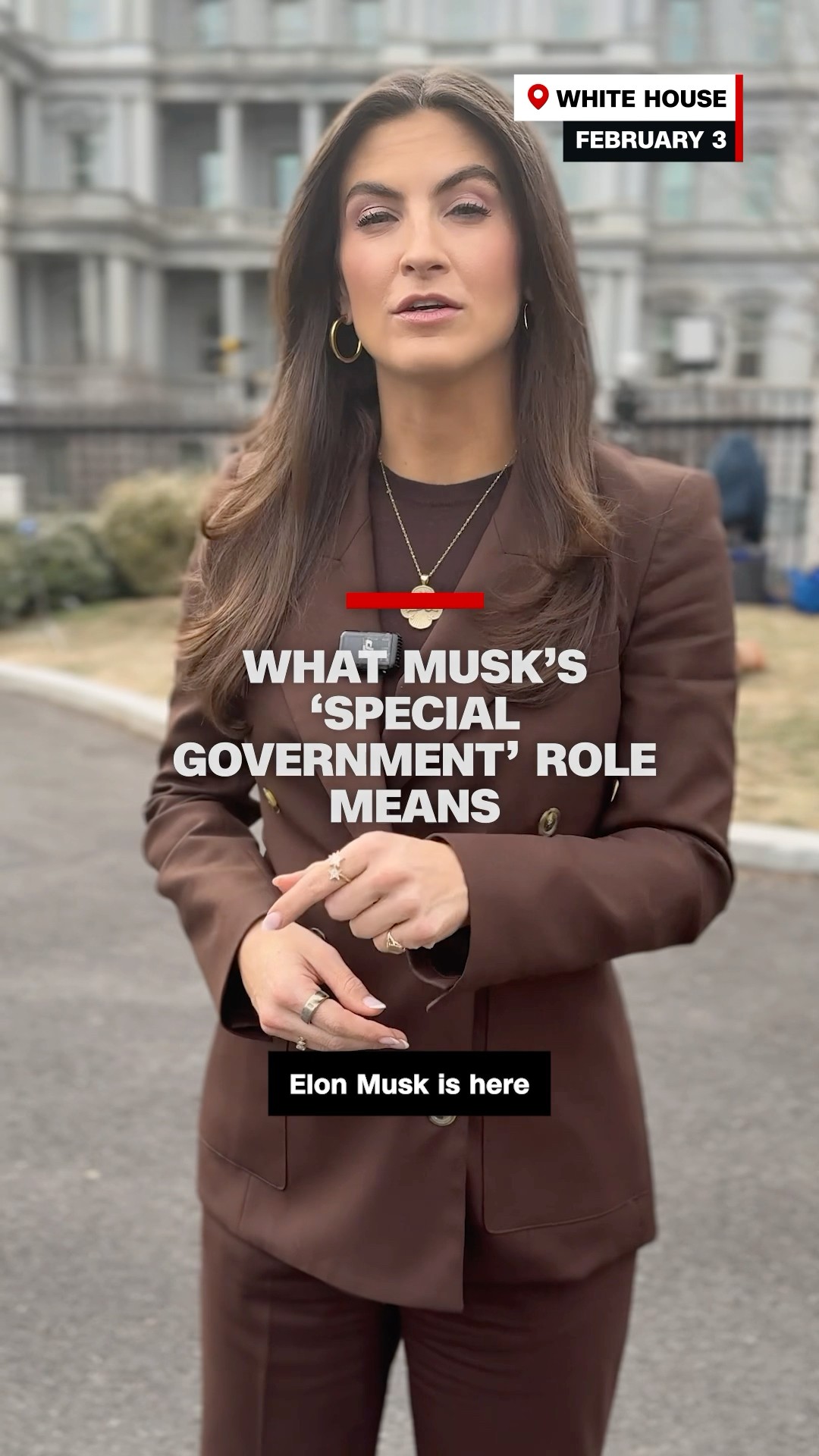 What Musk's 'special government' role means