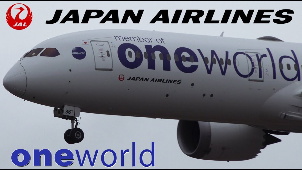 JAL Oneworld Livery Boeing 787-9 JA861J Landing at NRT | 日本航空 | 成田空港 |  ワンワールド