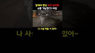 길에서 만난 수다 냥이와 소통 가능한 여성