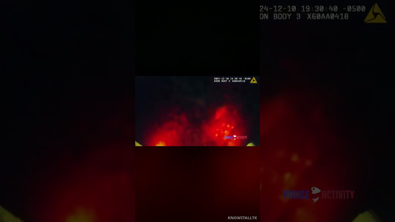 HE HID IN A CHIMNEY / TO ESCAPE COPS