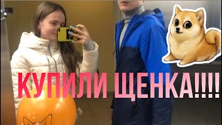 VLOG: КУПИЛИ ЩЕНКА!ЕДЕМ ЗА ЩЕНКОМ! НАША ПЕРВАЯ ВСТРЕЧА С НАШЕЙ МАЛЫШКОЙ ❤️ СЧАСТЬЕ ЕСТЬ!!!!!!