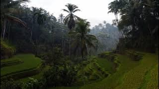 Instrumental Minang Music 