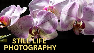 Still Life Photography's Magic! tips & Techniques screenshot 5