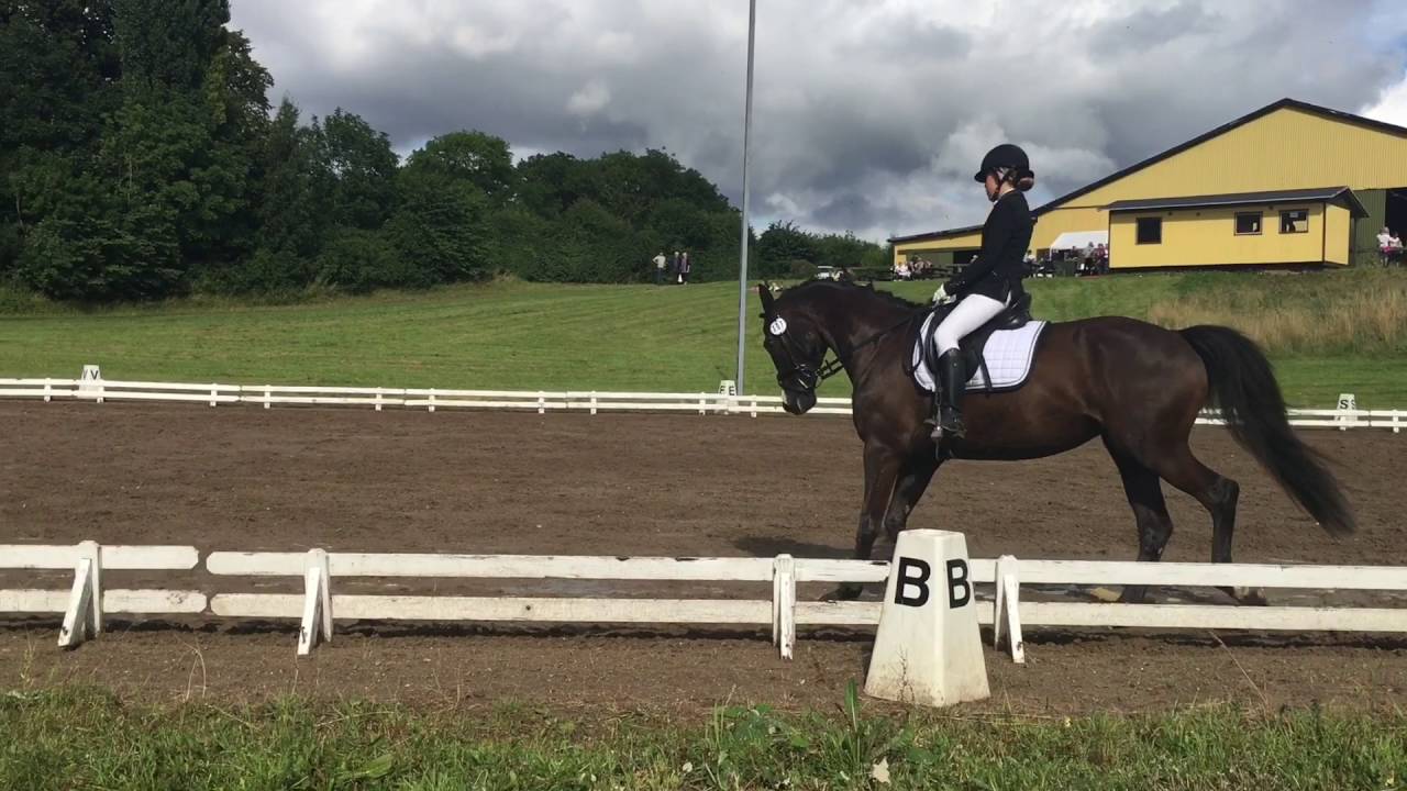 diagonal skrædder lektie dressur stævne holbæk rideklub- Fie Glem og Skovtoftens Diva - YouTube