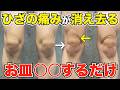 【9割知らない】ひざ痛は筋トレするだけでは無駄です。本当の原因はこの『お皿の動き』でした。