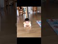 Funny babies funny movements 