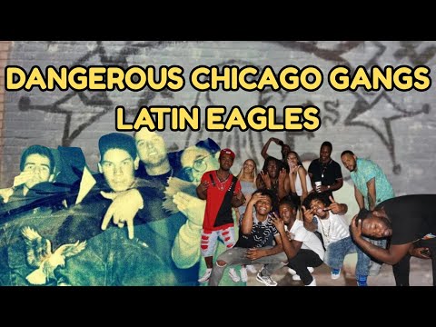 [LETTER3 5] Latin Eagles Street Gang Terms Of Use